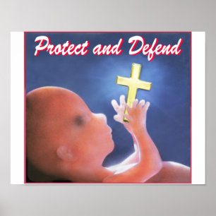 Protect and Defend Poster