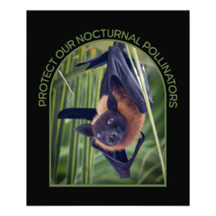 Protect Bats Photo Enlargement Print
