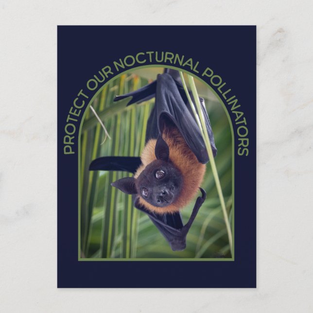 Protect Bats Postcard (Front)