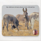 Protect our Wild Burros
