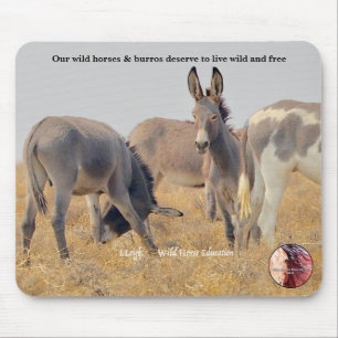 Protect our Wild Burros Mouse Pad