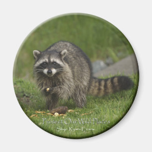 "PROTECT OUR WILD PLACES" Racoon Magnets