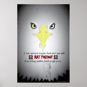 PROTECT OUR WILDLIFE FROM RAT POISON POSTER