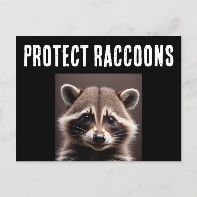 PROTECT RACCOONS POSTCARDS (Front)