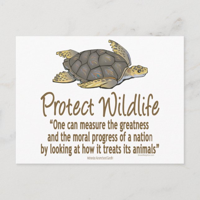Protect Sea Turtles Postcard (Front)