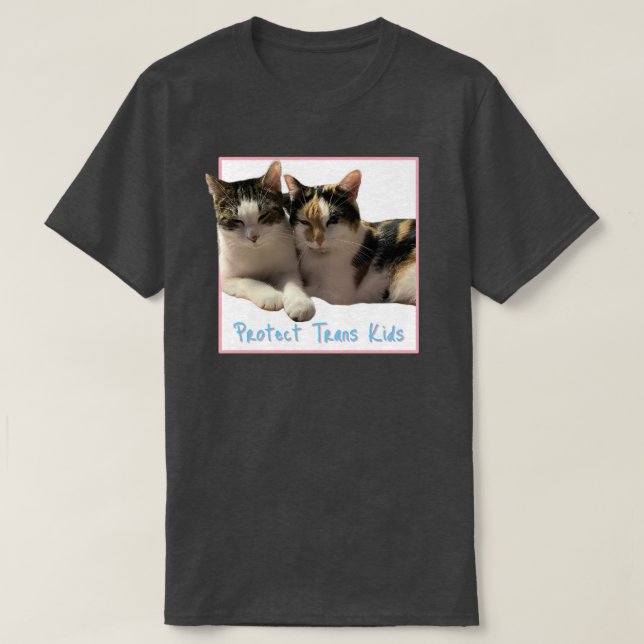 Protect Trans Kids T-Shirt (Design Front)