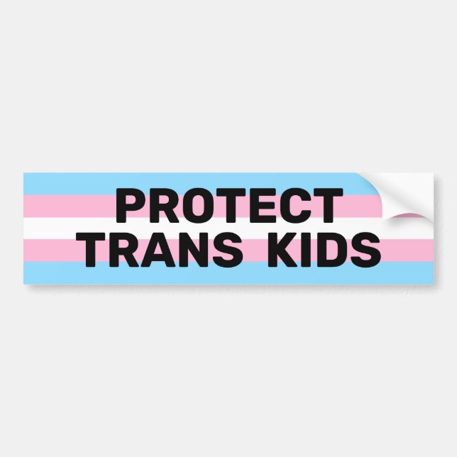 Protect Trans Kids | Trans Flag Bumper Sticker (Front)