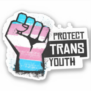 Protect Trans Youth - Pride Fist