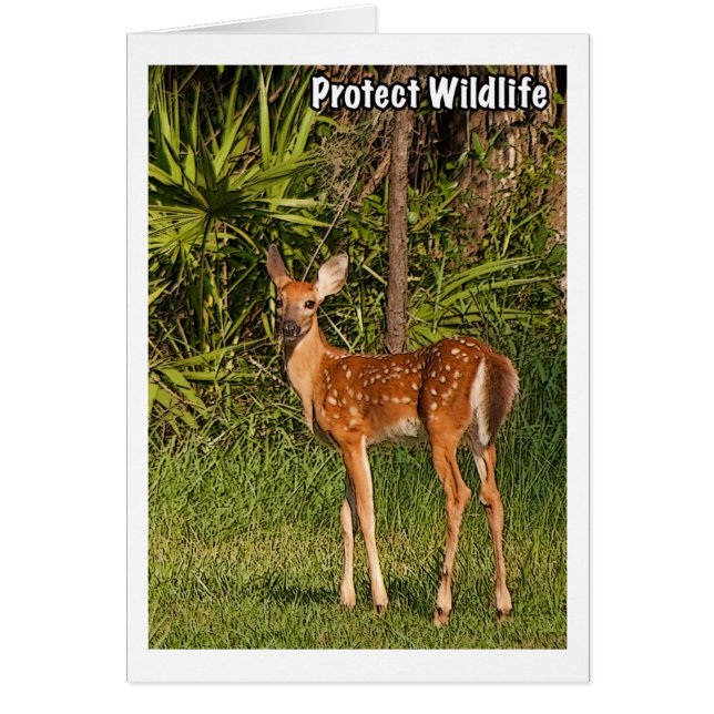 Protect Wildlife (Front)