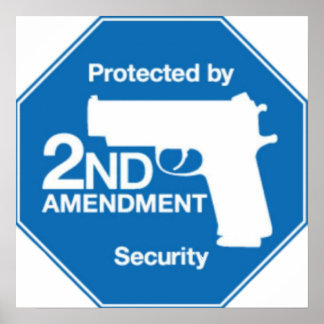 Protected by 2nd AMENDMENT Security Poster