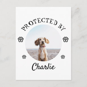 Protected By Dog Photo Paw Print Design Postcard