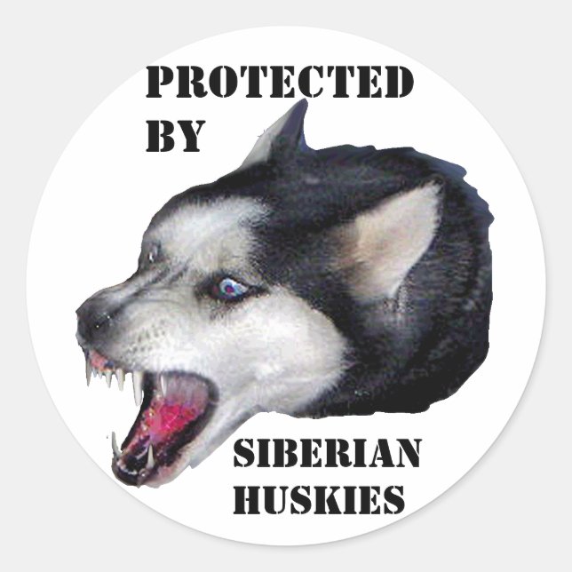 PROTECTED BY, SIBERIAN HUSKIES CLASSIC ROUND STICKER (Front)