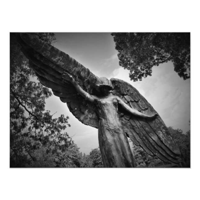 "Protection from Above" Photo Print (Front)