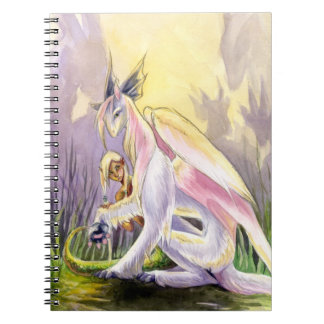 Protection Notebook