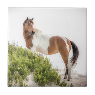 Protector of the dunes tile
