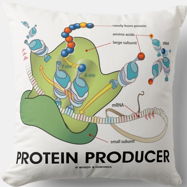 Protein Producer mRNA tRNA Protein Synthesis Cushion (Molecular biology throw pillow for anyone who produces proteins - and that means you!)
