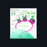 Protein Synthesis Diagram of RNA translation  Canvas Print<br><div class="desc">Protein Synthesis Diagram of RNA translation Canvas Print 

“Protein synthesis” by Kelvinsong is licensed under CC BY 3.0
https://en.wikipedia.org/wiki/File:Protein_synthesis.svg</div>