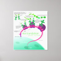 Protein Synthesis Diagram of RNA translation 