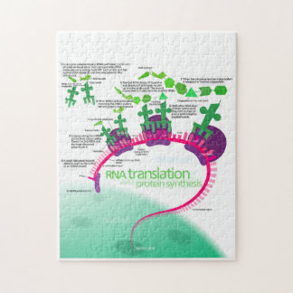 Protein Synthesis Diagram of RNA translation Jigsaw Puzzle