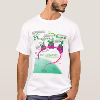 Protein Synthesis Diagram of RNA translation T-Shirt
