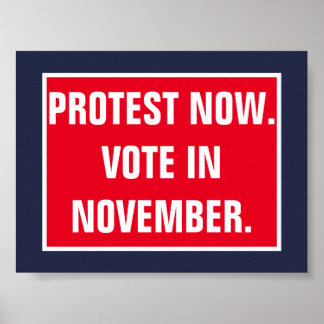Protest Now Vote in November Politics Resist Poster
