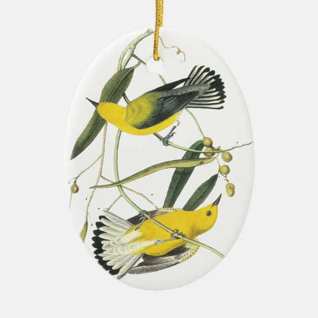 Prothonotary Warbler, John Audubon Ceramic Tree Decoration (Front)
