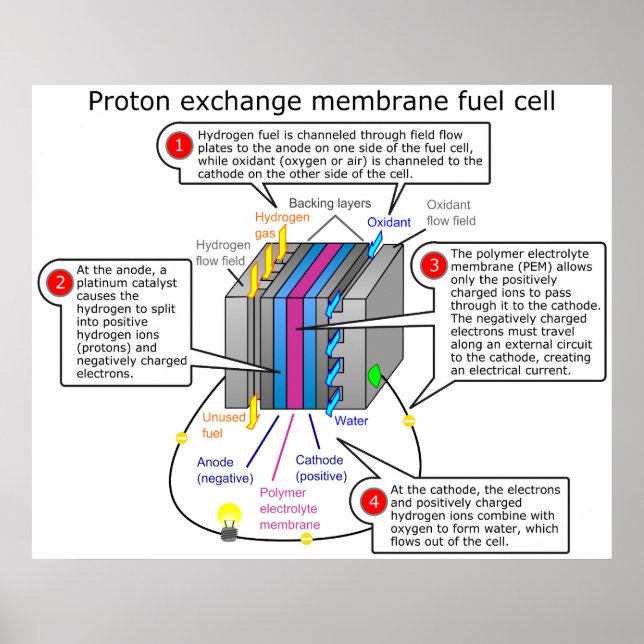 Proton Exchange Membrane Fuel Cell Diagram Poster (Front)
