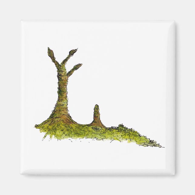 Prototaxites Lichens Magnet (Front)