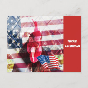 Proud American Rooster Postcard