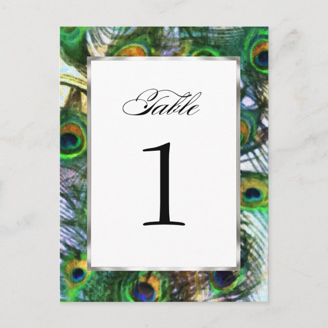 Proud as a Peacock Table Number Set 1116 Postcard (Front)