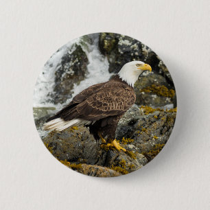 Proud Bald Eagle 6 Cm Round Badge