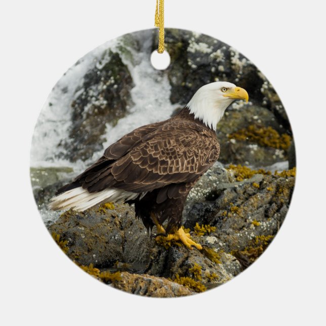 Proud Bald Eagle Ceramic Tree Decoration (Back)