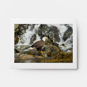Proud Bald Eagle Envelope