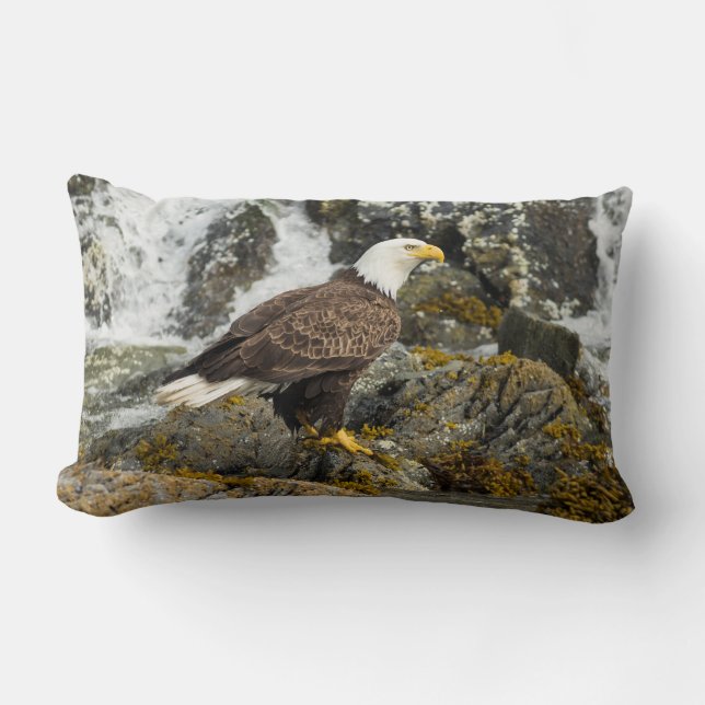 Proud Bald Eagle Lumbar Cushion (Front)
