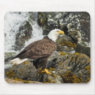 Proud Bald Eagle Mouse Pad