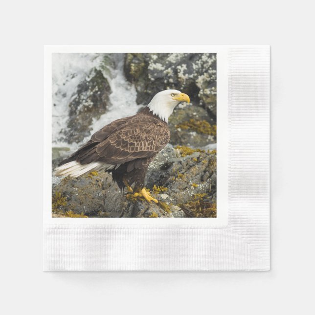 Proud Bald Eagle Napkin (Front)