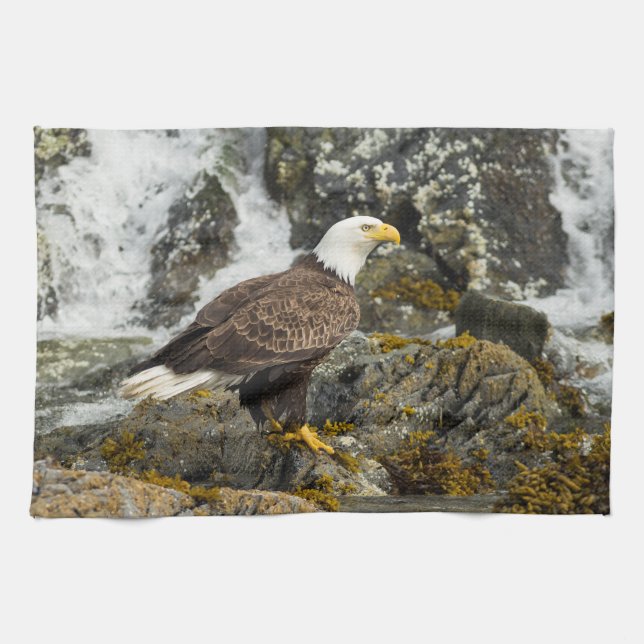 Proud Bald Eagle Tea Towel (Horizontal)
