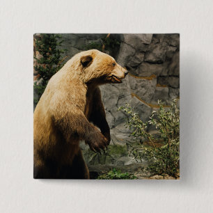 Proud Bear 15 Cm Square Badge