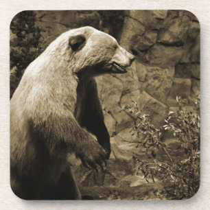 Proud Bear Coaster
