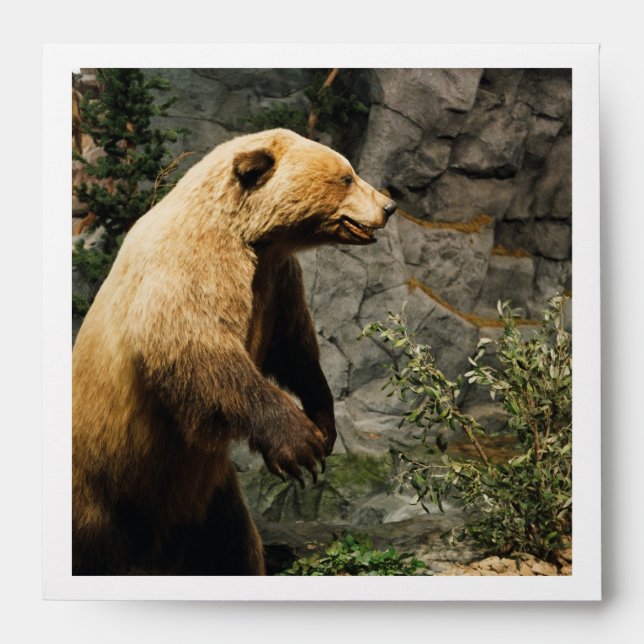 Proud Bear Envelopes (Front)