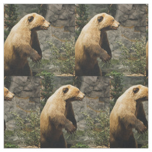 Proud Bear Fabric