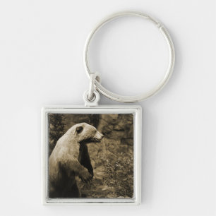 Proud Bear Key Ring