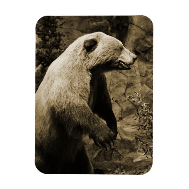 Proud Bear Magnet (Vertical)