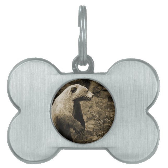Proud Bear Pet Name Tag (Front)