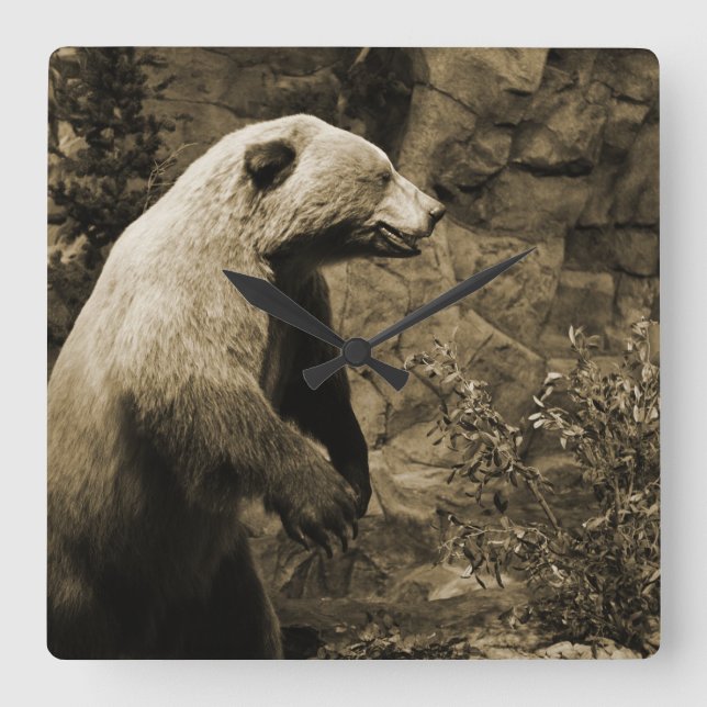 Proud Bear Square Wall Clock (Front)