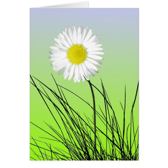 Proud Daisy Card (Front)