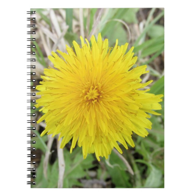 Proud Dandelion Flower. Notebook (Front)