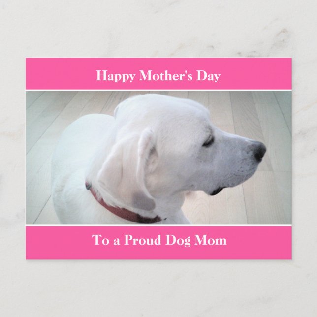 Proud Dog Mum Cute White Labrador Mix Dog Profile  Holiday Postcard (Front)