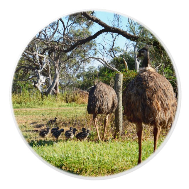 Proud Emu Parents With Chicks, Ceramic Knob (Front)