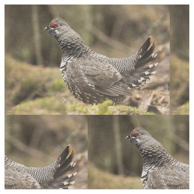 Proud Grouse Fabric (Close Up)